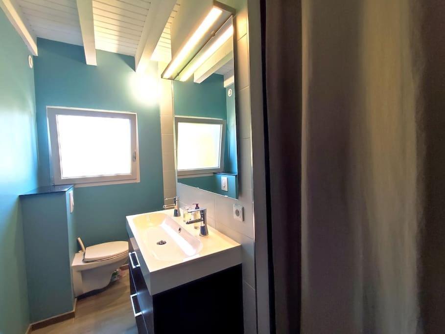 La Salixienne Maison 6/7 Pers Saulcy-sur-Meurthe Dış mekan fotoğraf